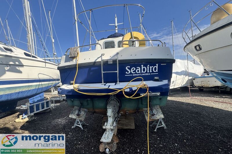  Orkney Day Angler 24
