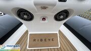  Ribeye  A600