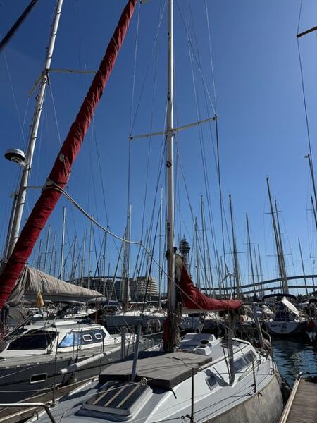  Pouvreau PROTO 37