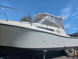 Tuccoli 280 Moby Dick 5.jpg Tuccoli Ivano T 280 Moby Dick Open