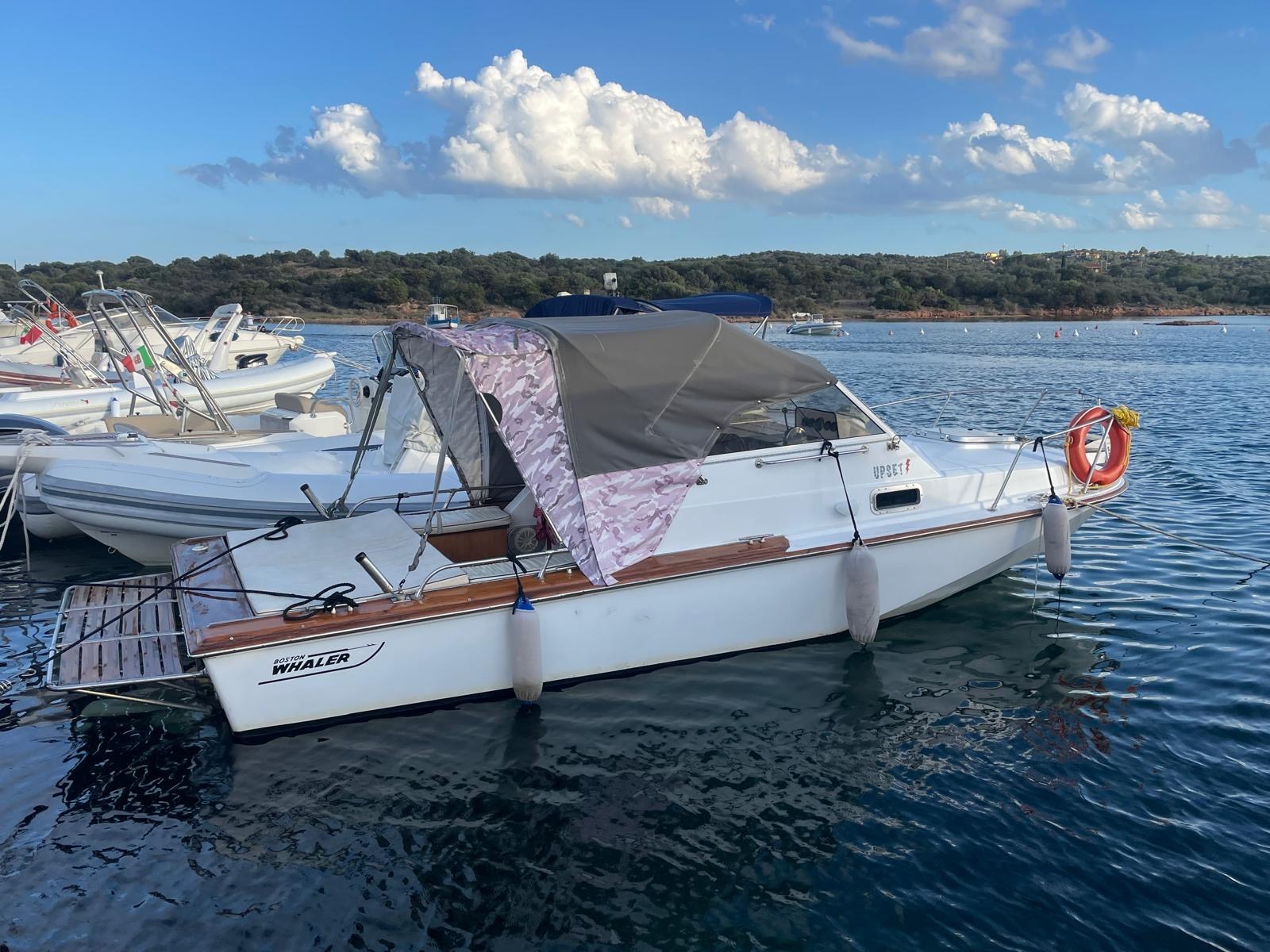 Boston Whaler 22 REVENGE se vende