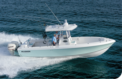 Bluewater Sportfishing 2850