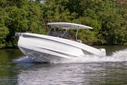  Other Sterk 31