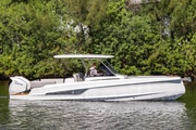  Other Sterk 31