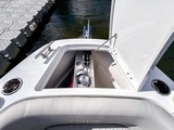  Other Sterk 31