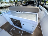  Other Sterk 31